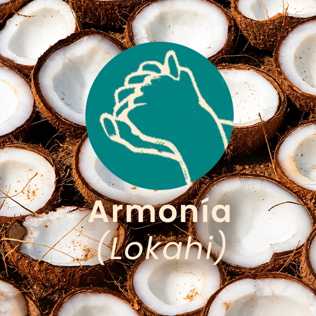 armonía