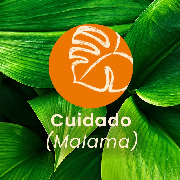 cuidado